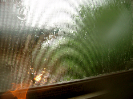 Wet Spring p5143081 Wet Spring
