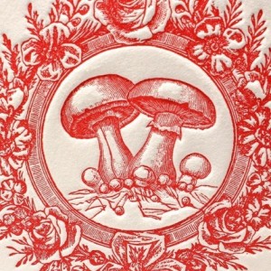 LpressDmushroom 300x300 LpressDmushroom