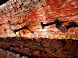 Old wood & nails